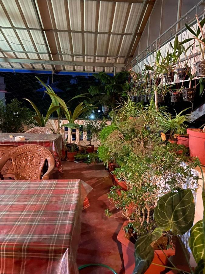 Gloria Homestay Kochi Exteriör bild